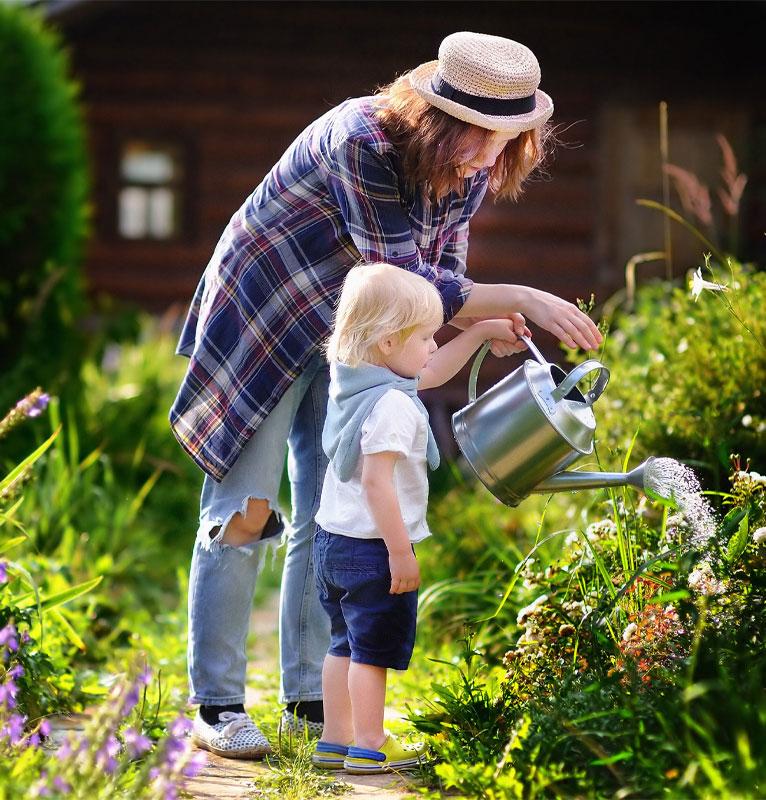 النباتات الداخلية ونباتات أسفل الدرج